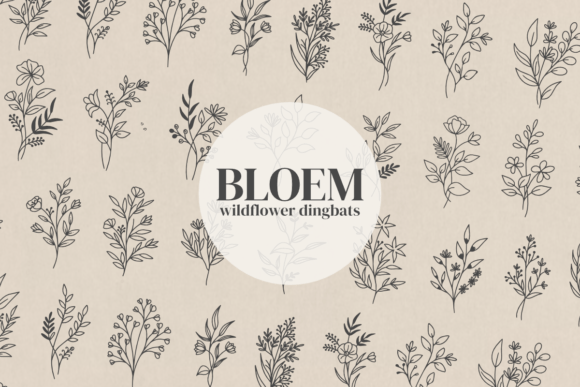Bloem Dingbats Font: Botanical Wildflower Review