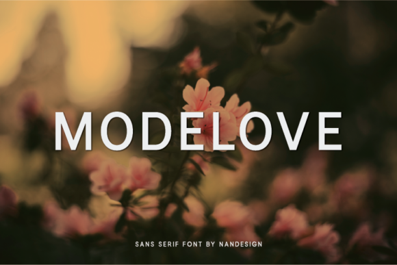 Modelove Font: Minimal Sweet Sans Serif for Clear Campaigns